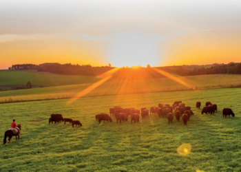 Saúde entra pela boca