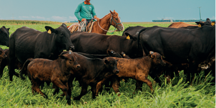 TECNOLOGIA –  Caminho inverso