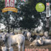 Revista AG 235