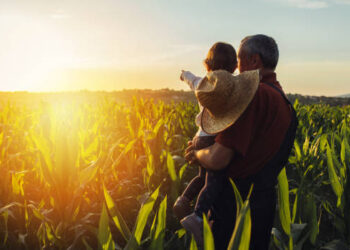 Um novo ambiente para a sucessão no agro