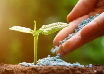 Os fertilizantes e os desafios da produção brasileira