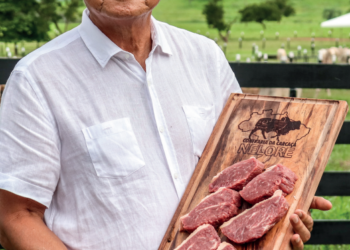 Entrevista com Shiro Nishimura: Marmoreio possível e acessível