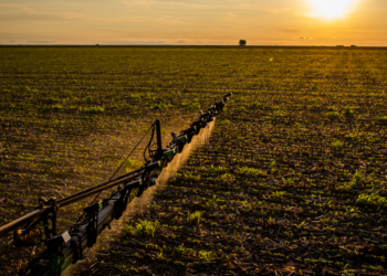 Segurança extra para produção