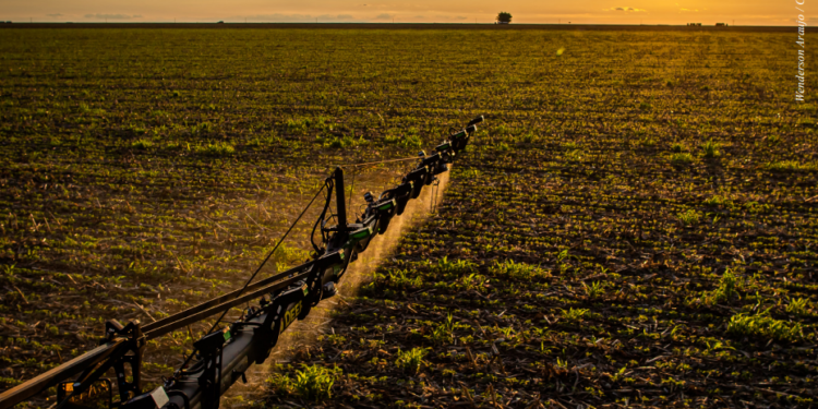 Segurança extra para produção