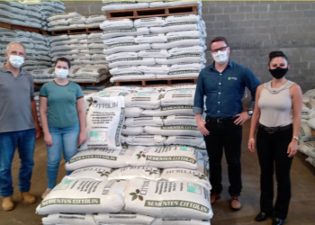 Semente legal promove mais credibilidade à cadeia do feijão