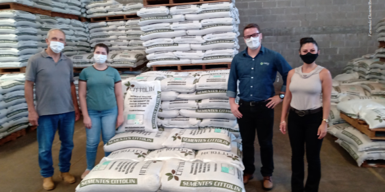 Semente legal promove mais credibilidade à cadeia do feijão