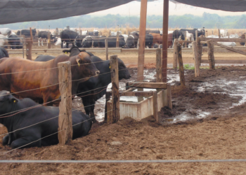 Água: mais precisão á gestão