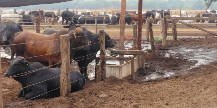 Água: mais precisão á gestão