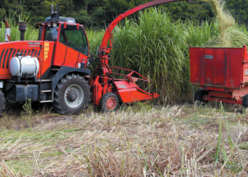 Impacto na produção e no bolso