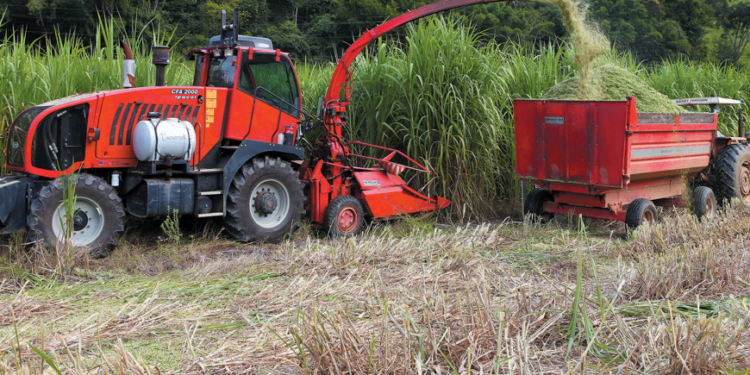 Impacto na produção e no bolso