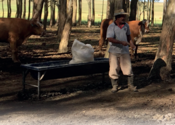 PRECISÃO ESTRATÉGICA NO COCHO E NO GANCHO