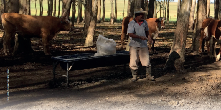 PRECISÃO ESTRATÉGICA NO COCHO E NO GANCHO