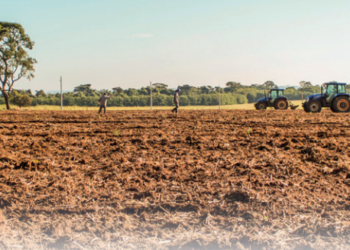 Baixa fertilidade do solo é o maior problema para o desenvolvimento da pecuária no Brasil