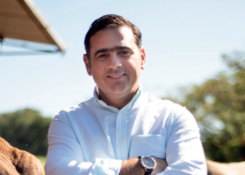 Aprenda a ler o que a vaca pede