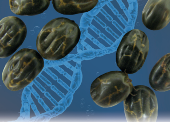 CONTAGEM REGRESSIVA E SUSTENTÁVEL