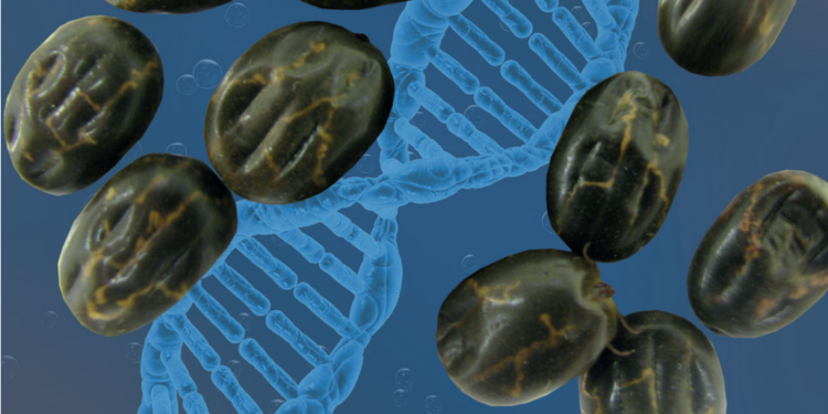 CONTAGEM REGRESSIVA E SUSTENTÁVEL