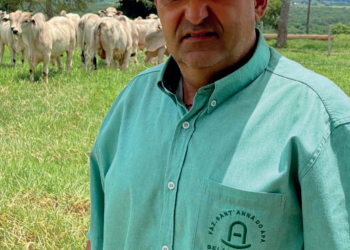 Colheita de resultados