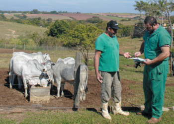 AGRO-VETS:TÉCNICO OU COMERCIAL? PRODUÇÃO OU RENTABILIDADE?