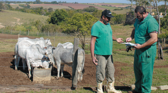 AGRO-VETS:TÉCNICO OU COMERCIAL? PRODUÇÃO OU RENTABILIDADE?