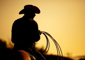 Com o que devemos nos preocupar na pecuária?