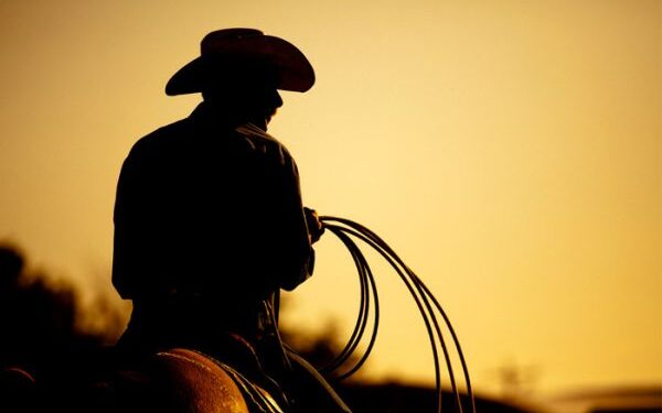 Com o que devemos nos preocupar na pecuária?