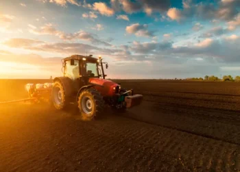 Tipos de aprendizado de máquinas