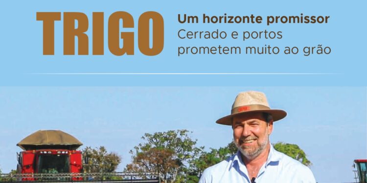 Revista A GRANJA 882