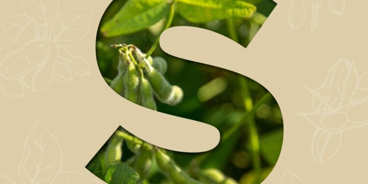 Revista A Granja 883