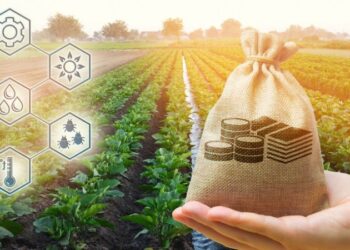 Crédito: Fotos de stock / Andrii Yalanskyi