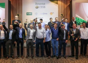 Os Máximos Campeões da Produtividade de Soja