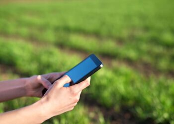 Os diferenciais das fintechs