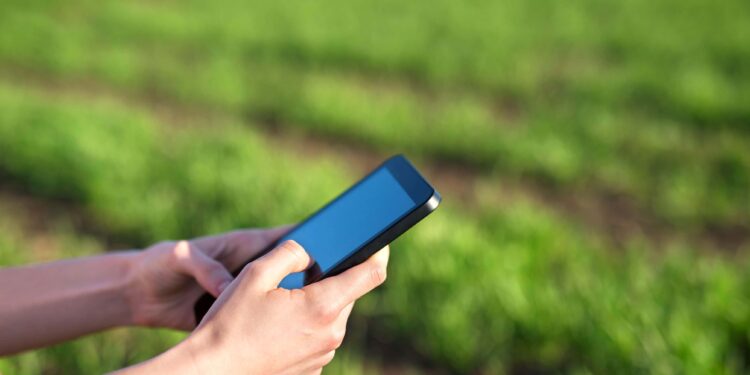 Os diferenciais das fintechs