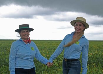 Prosperidade no Cerrado piauiense