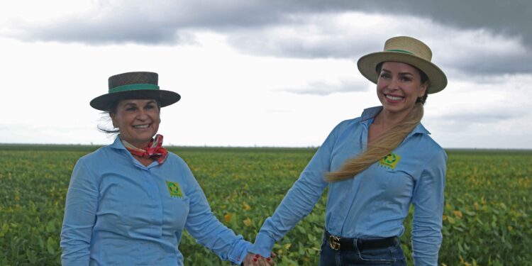 Prosperidade no Cerrado piauiense