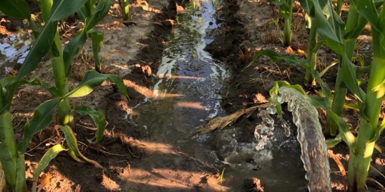 O transformador sistema SULCO-CAMALHÃO em terras baixas