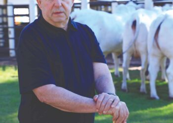 O pecuarista de ponta que se encantou pela ILP