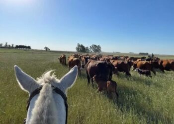 Foco total nas necessidades do produtor