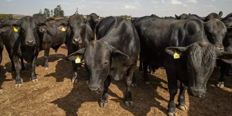 Novas relações de grandeza