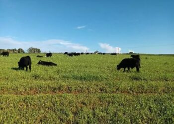 Fazendo o dever de casa – parte I