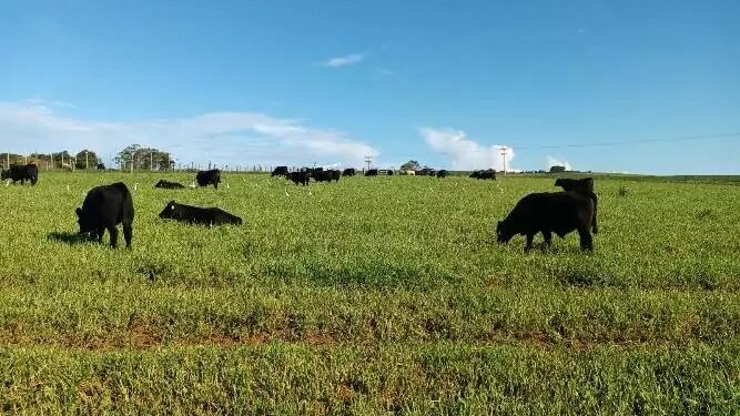 Fazendo o dever de casa – parte I