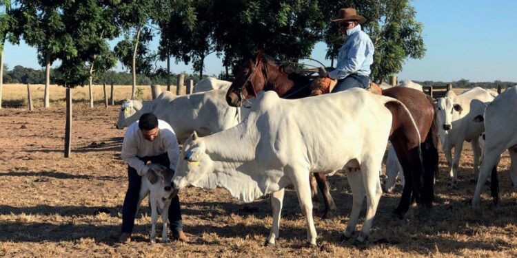 Prevenir para não remediar