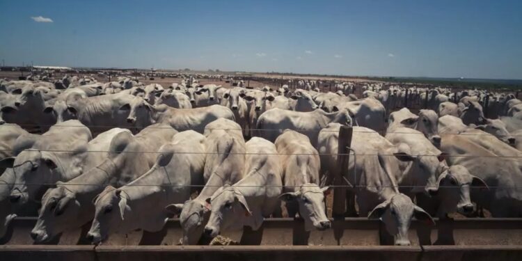 O novo normal da sucessão no campo