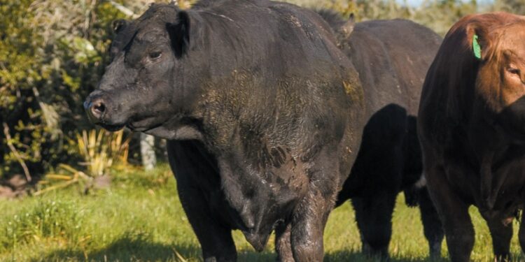 Confiança extra para bons negócios