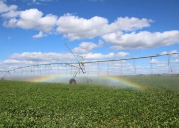 Água, insumo estratégico ao futuro da nossa agricultura