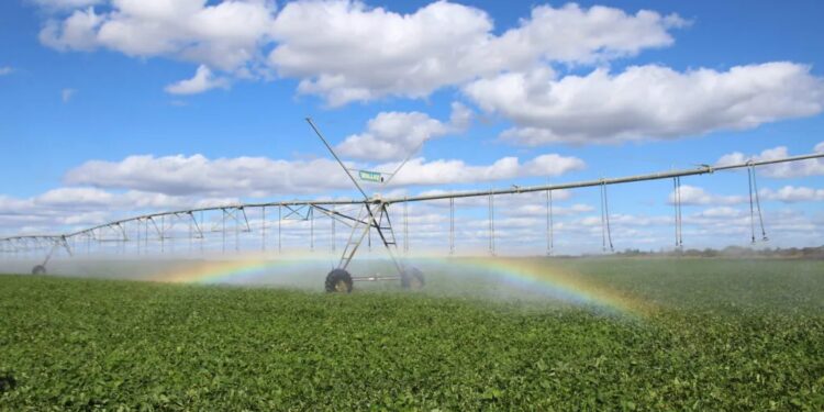 Água, insumo estratégico ao futuro da nossa agricultura