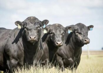 Alta pressão e garantia de qualidade