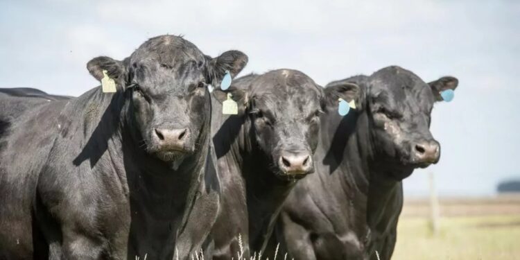 Alta pressão e garantia de qualidade
