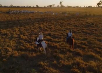 A Granja viu o Brasil se transformar numa grande potência alimentar, energética e ecológica