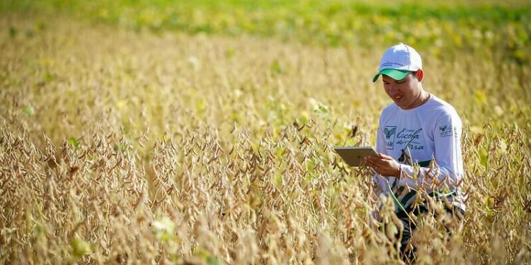Investindo em educação para transformar o campo