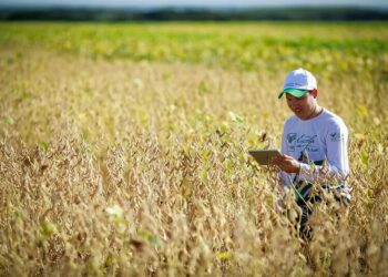 O Brasil como referência